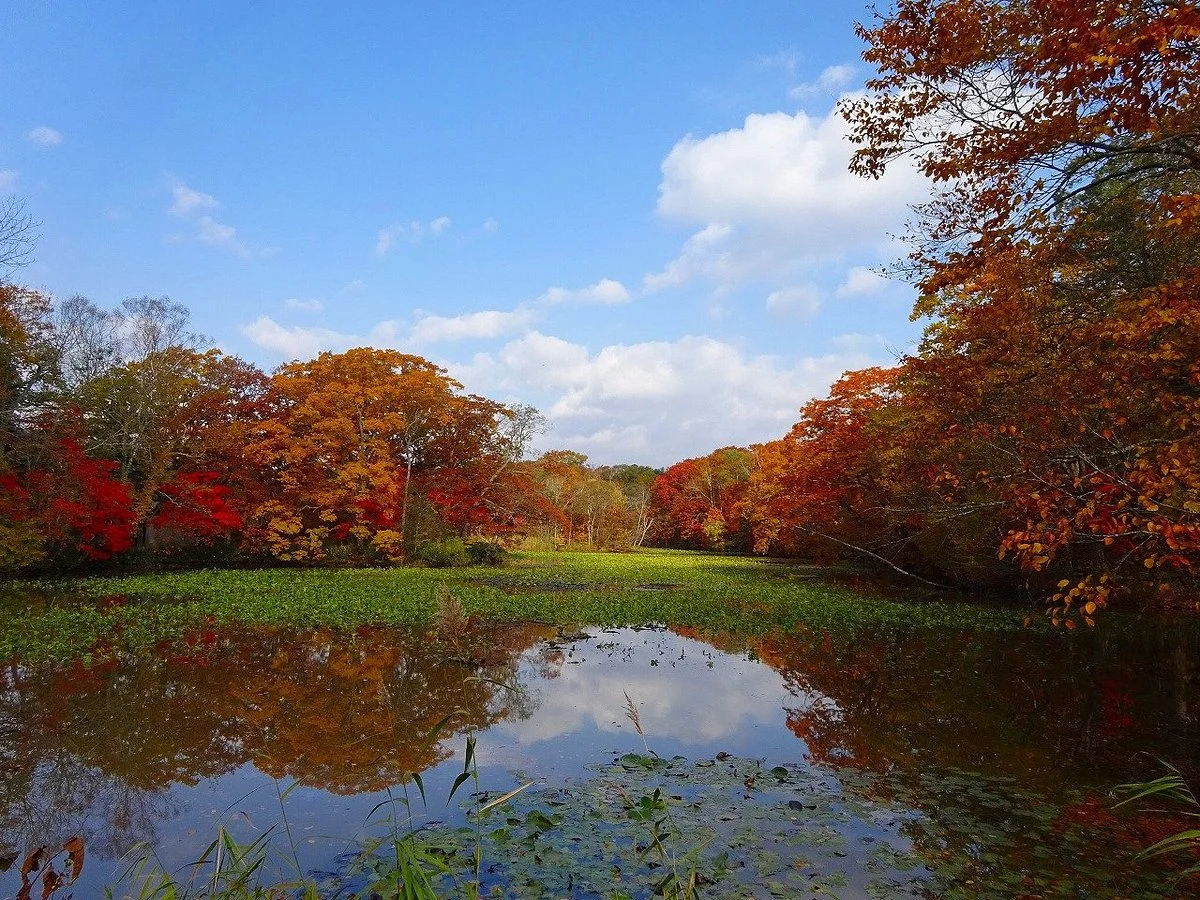 Lake Konumako