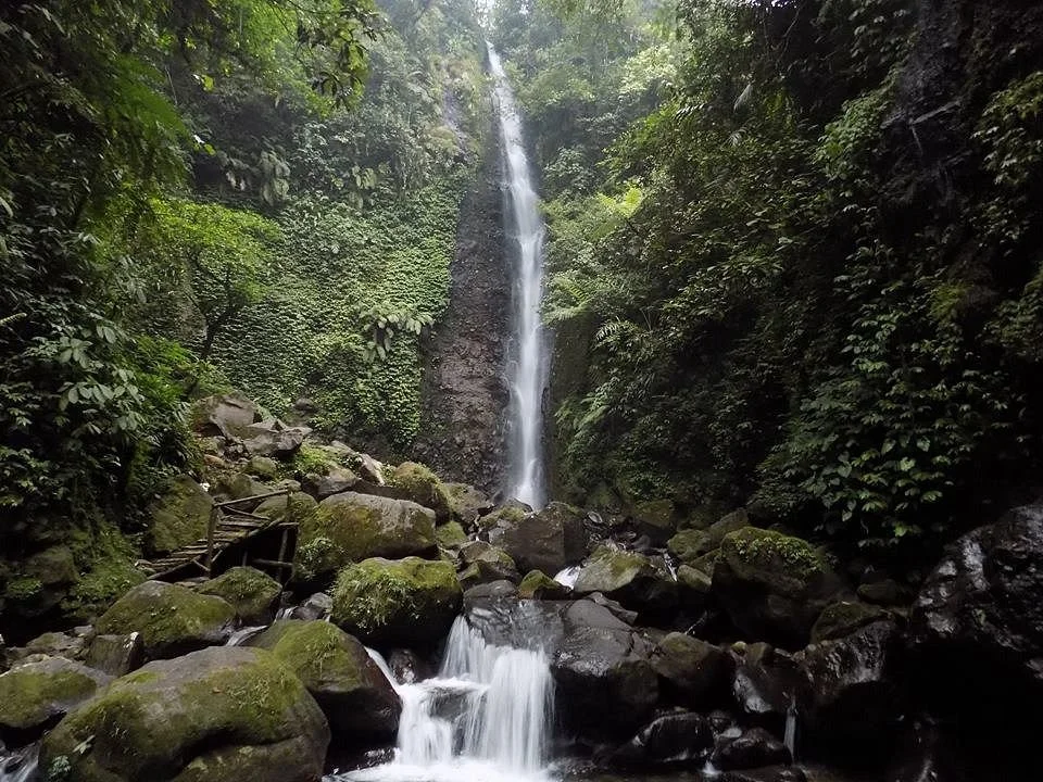 Halimun Salak National Park