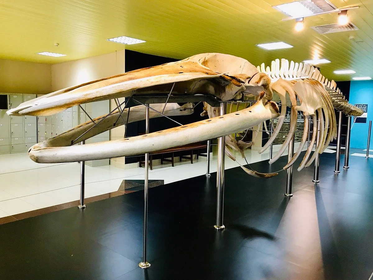 Brunei Darussalam Maritime Museum