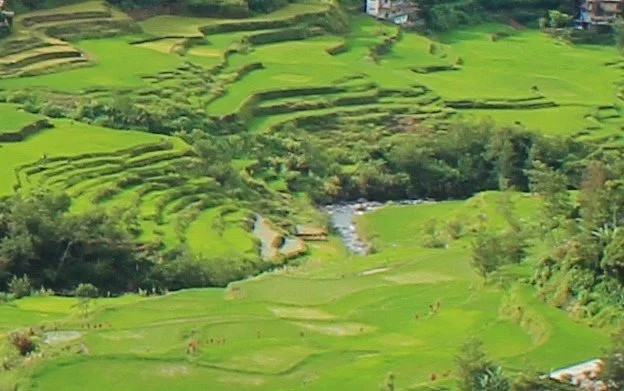 Nungulunan Rice Terraces