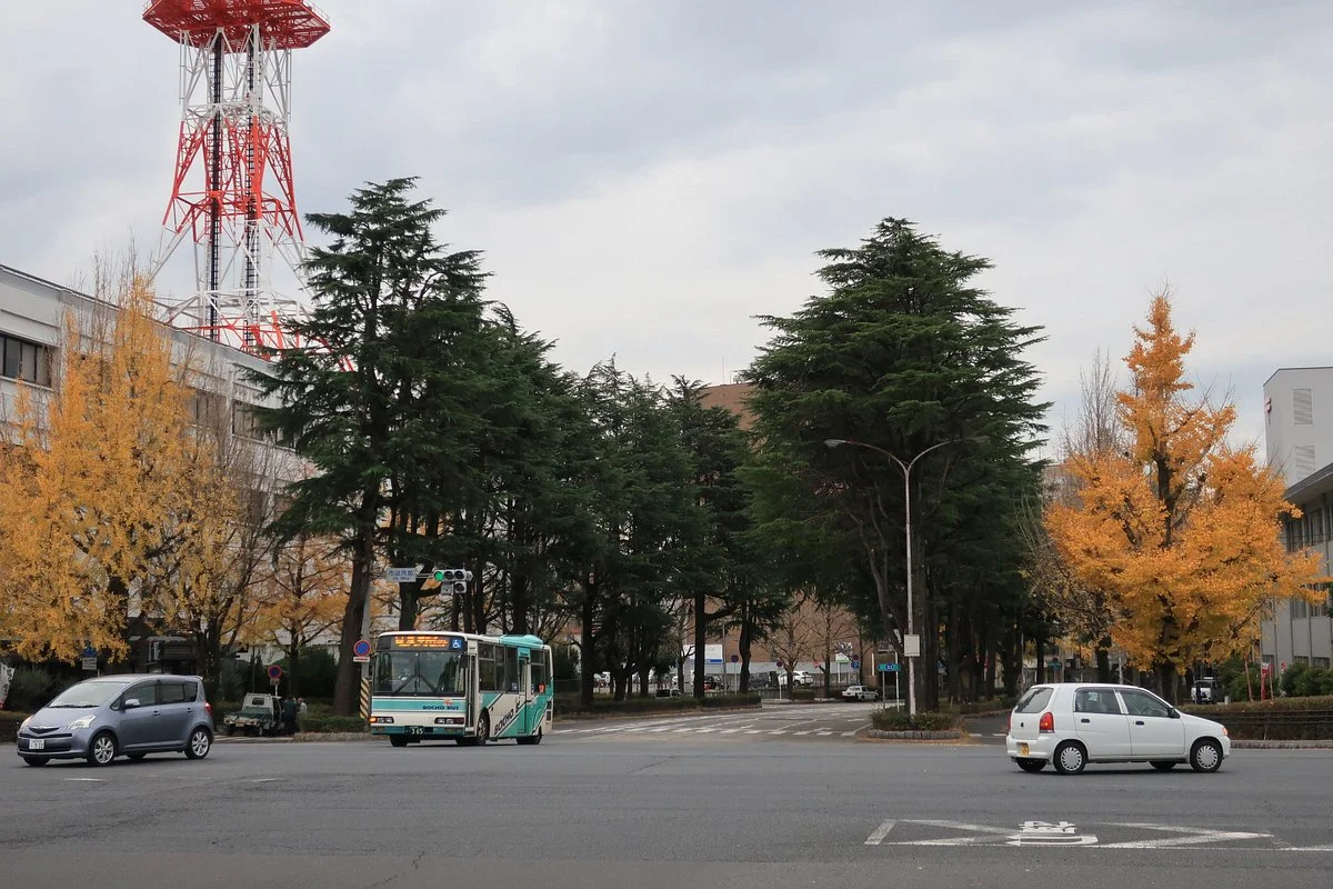 Miyukidori