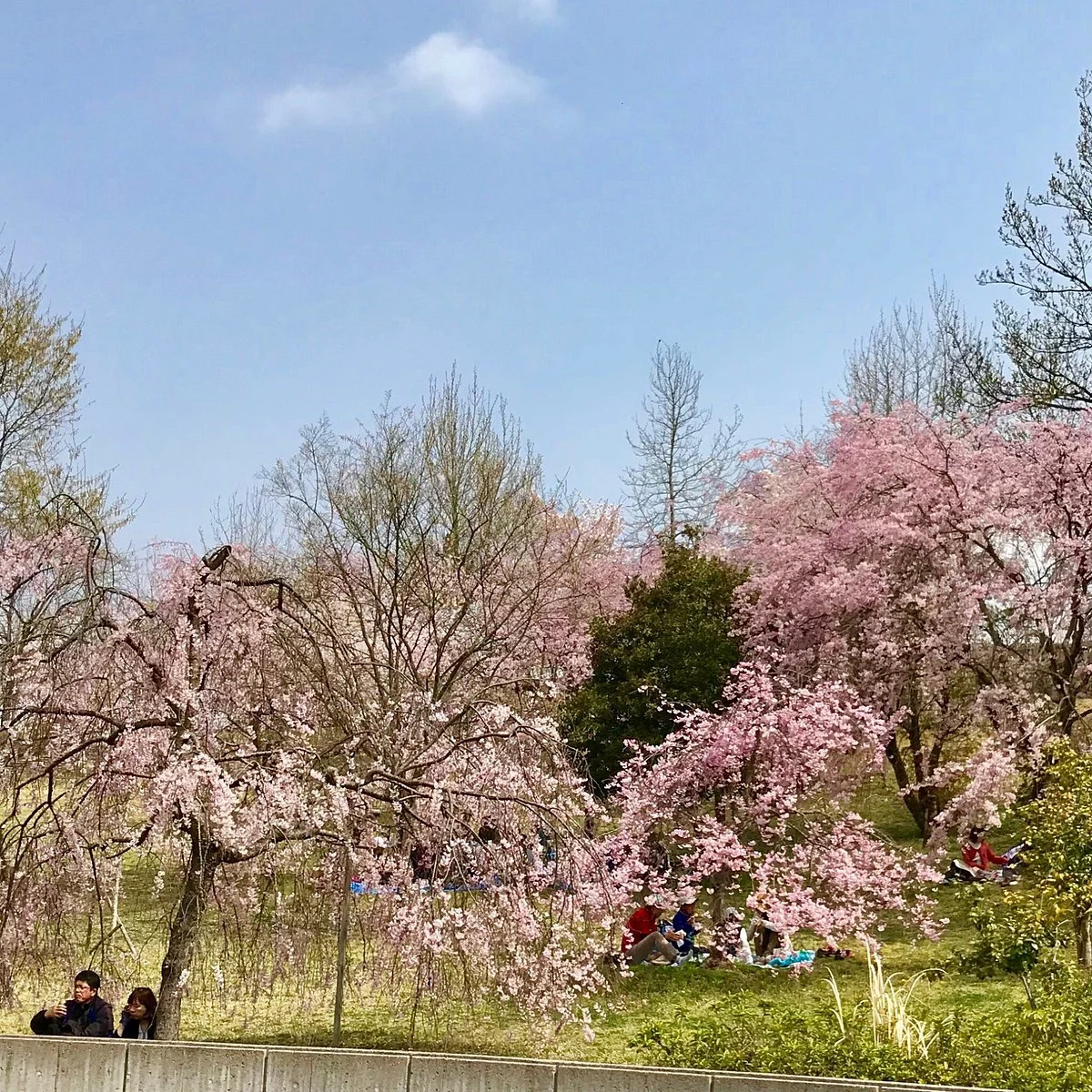 Kiyone Furusato Friendship Square