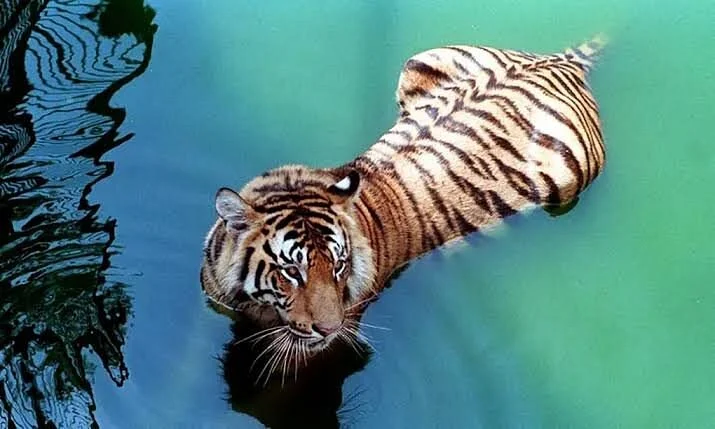 Ramgarh Vishdhari Wildlife Sanctuary