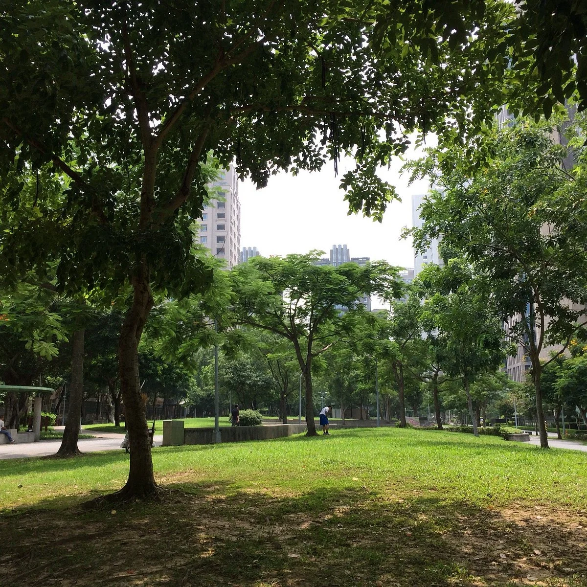 Ankang Park