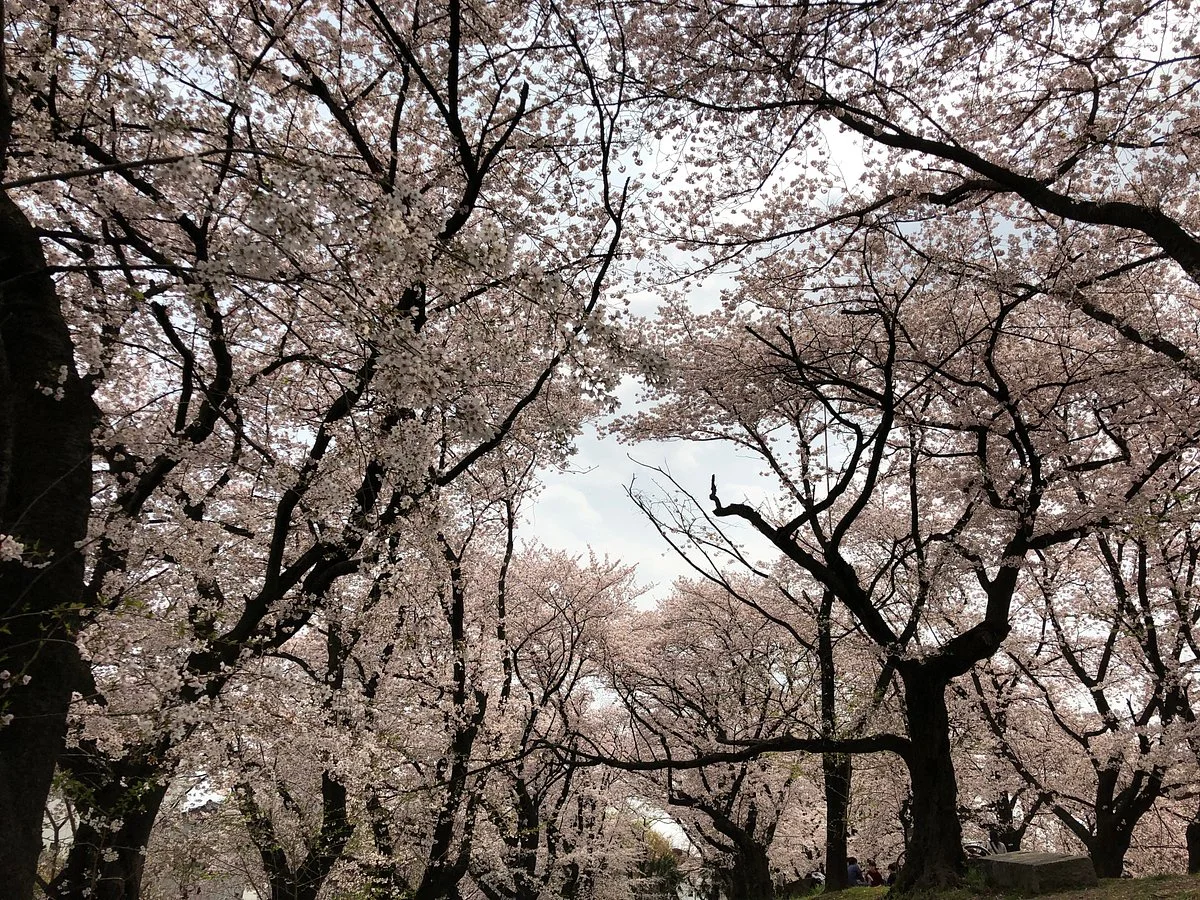Mampei Park
