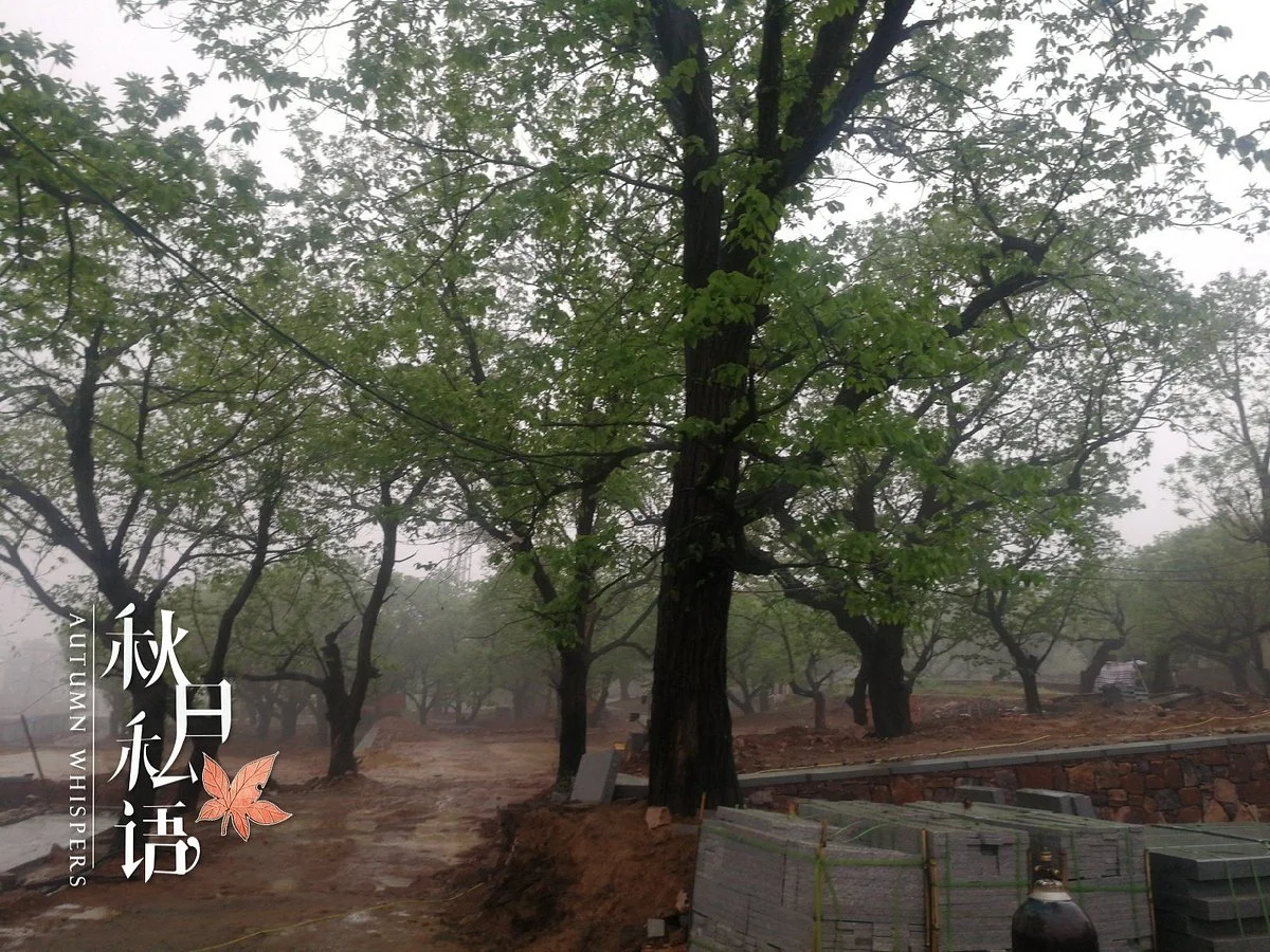 ZhongGuo DiLiuCi QuanGuoDaiBiao DaHui JiNianGuan