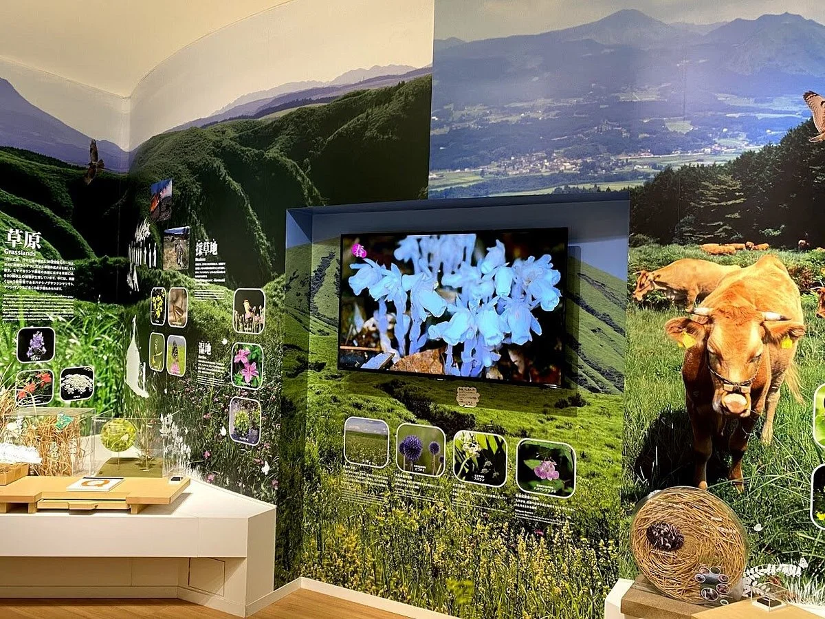 Minami Aso Visitor Center