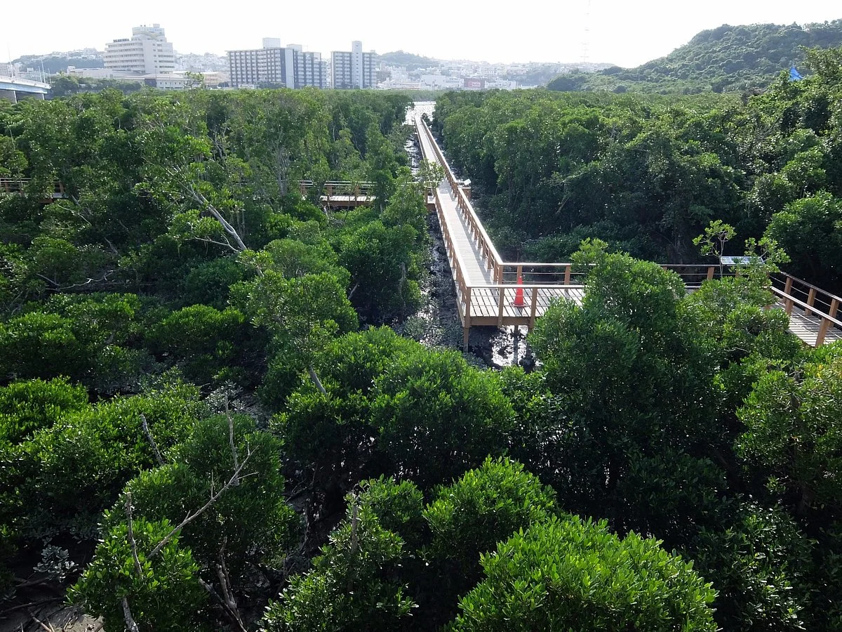 Manko Park