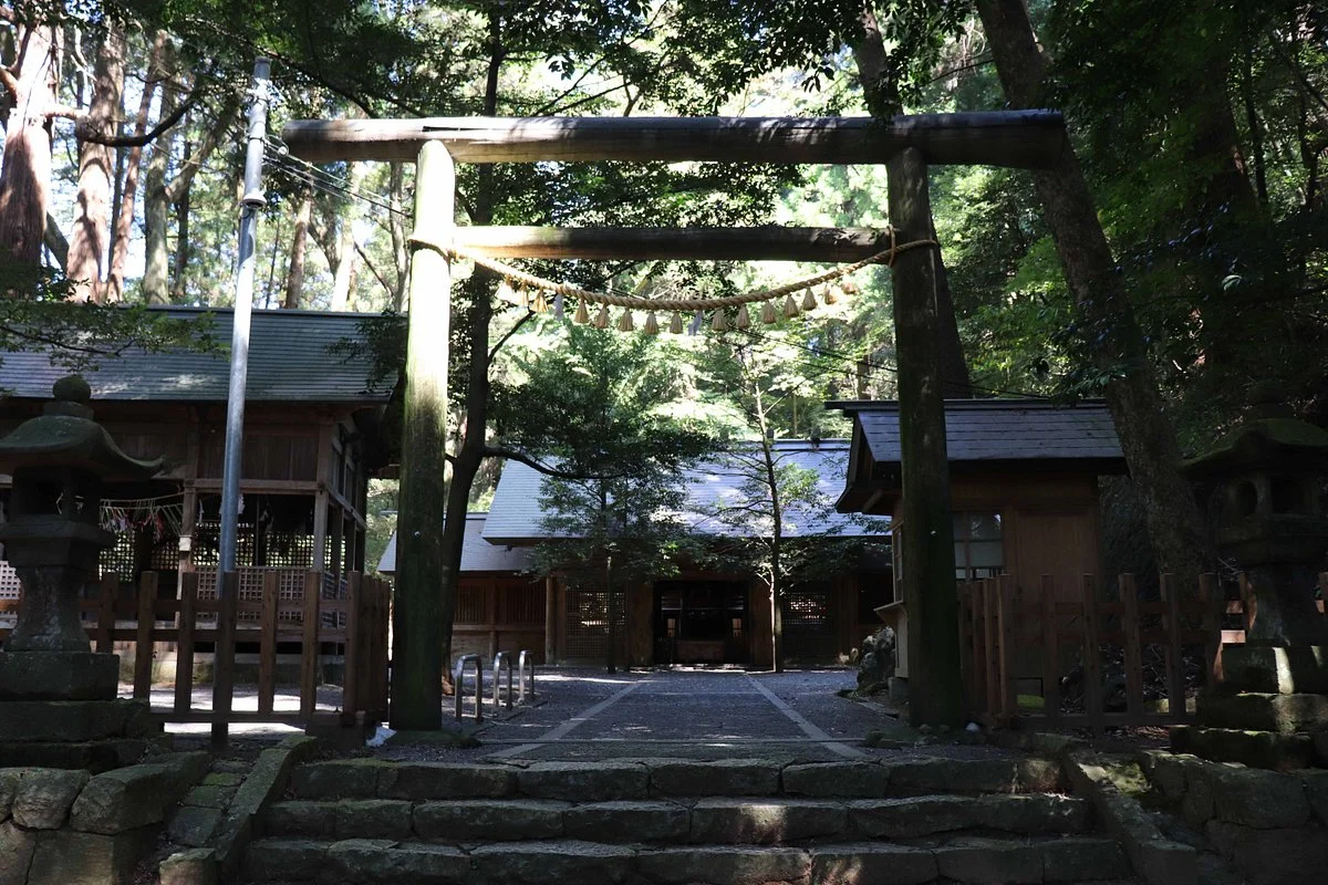 Nanamoto Sugi