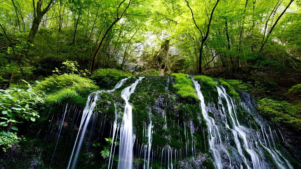 Shiromizu no Taki Fall