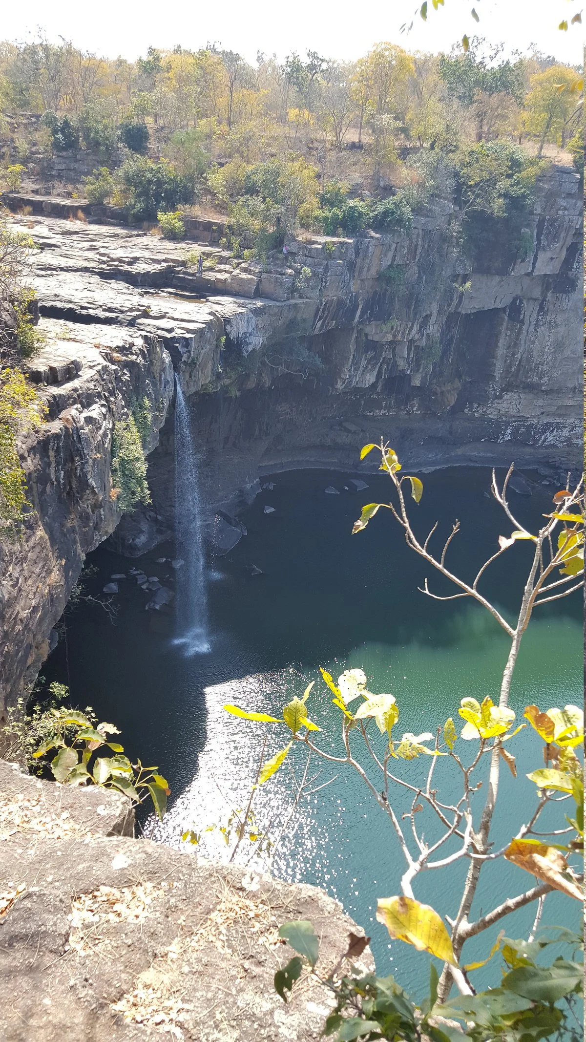 Sunabeda Wildlife Sanctuary