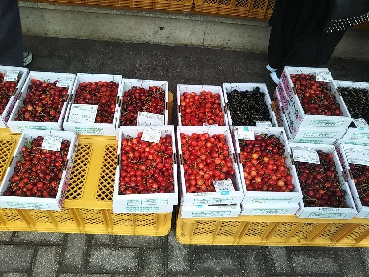 Nagawa Cherry Center