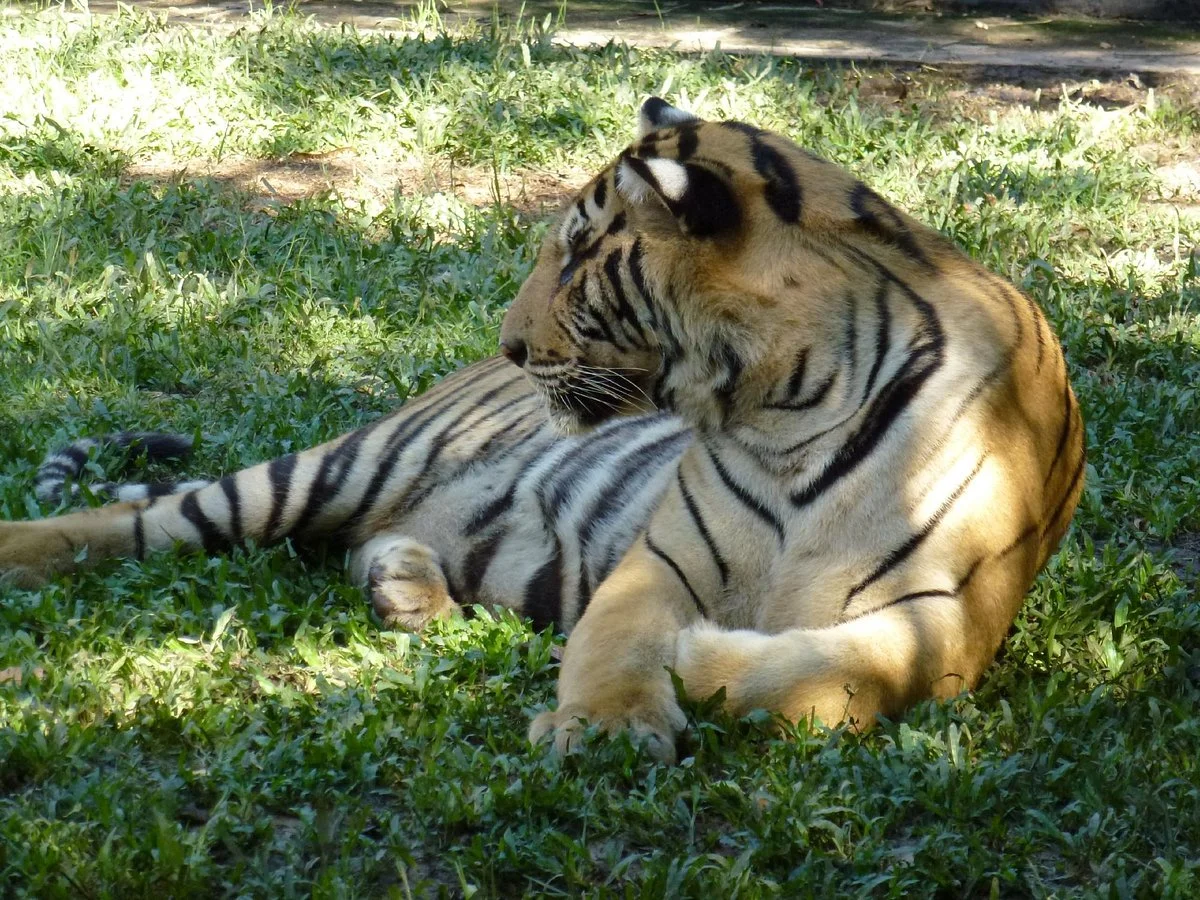Trakarn zoo ubon