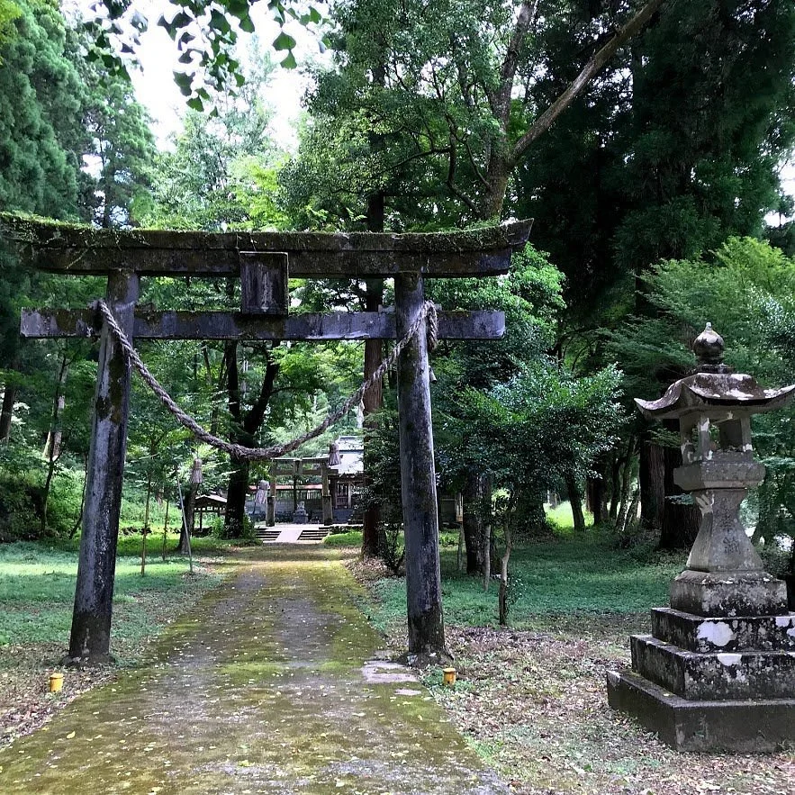 Takeo Shimokori Hiko  Shirine