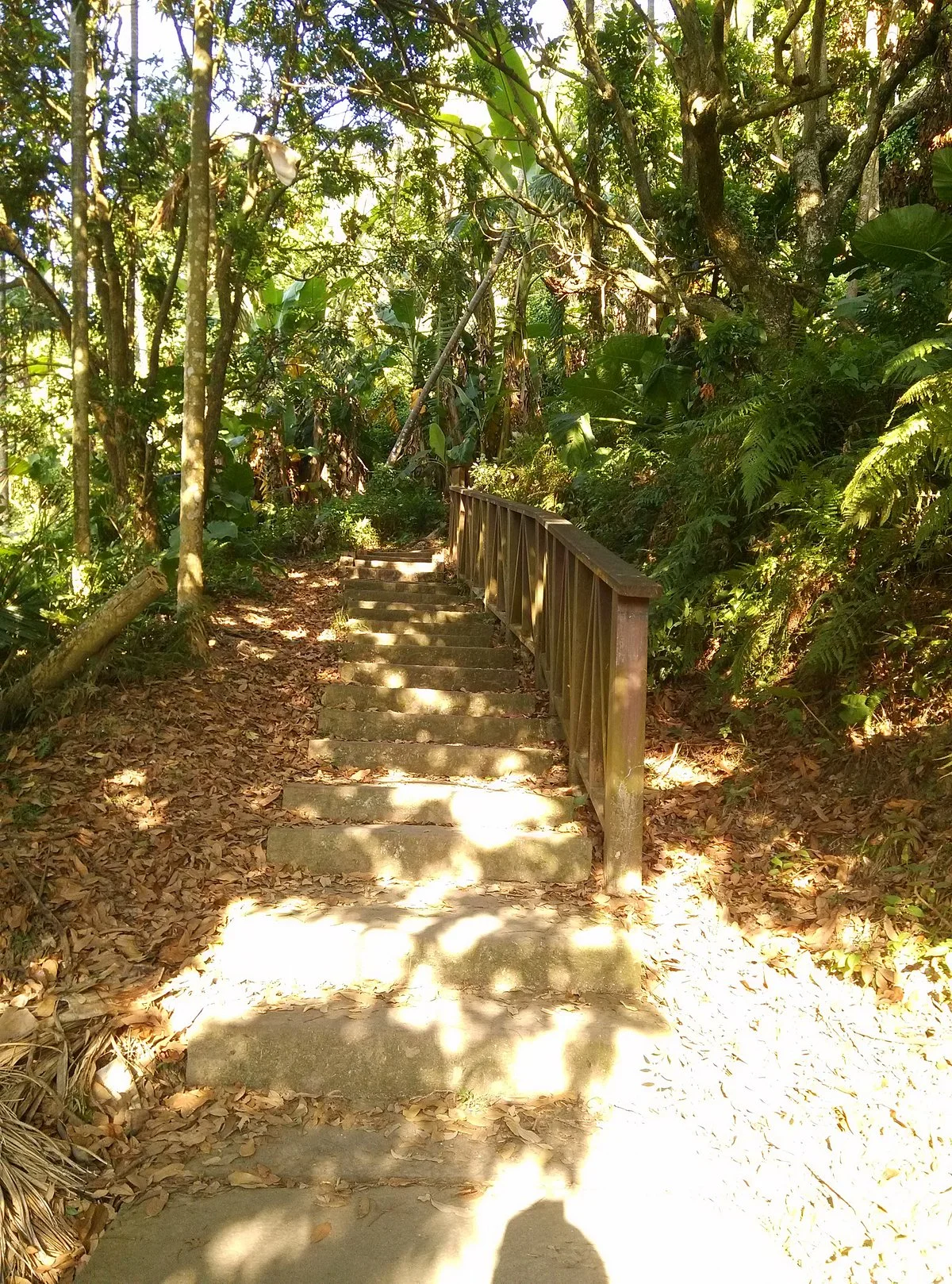 Dakeng No. 6 Healthy Trail