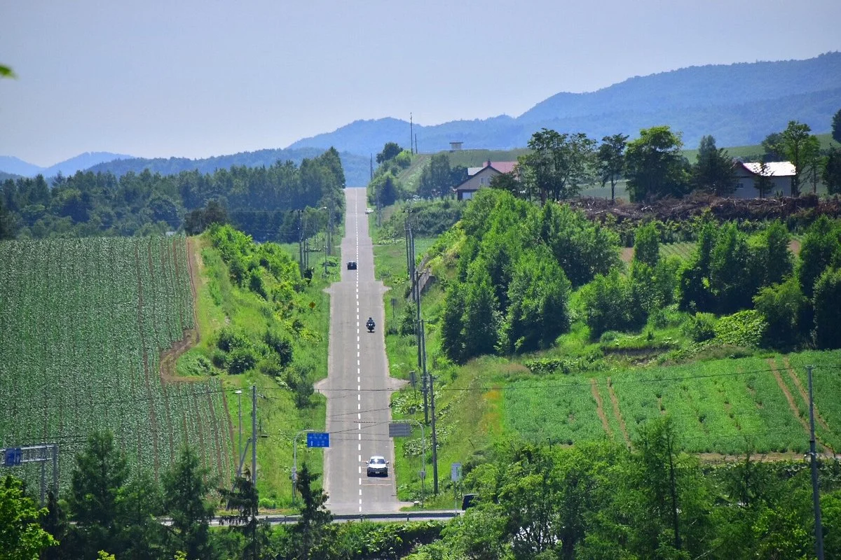 Roller Coaster Road