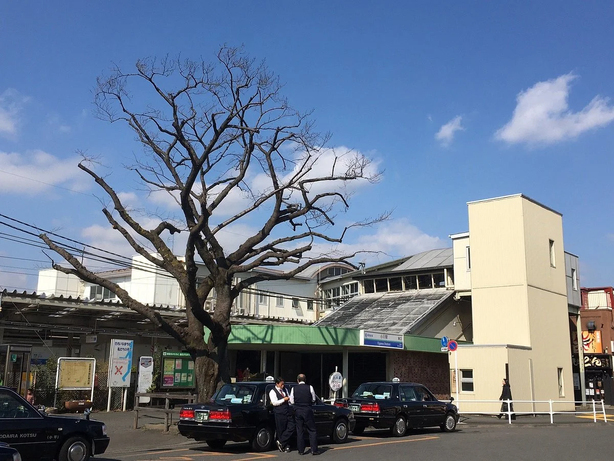 Noborikame no Sakura