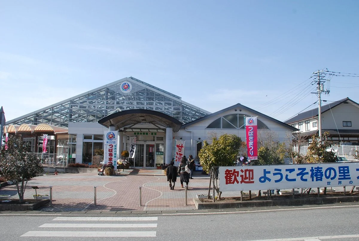 World of Tsubakikan-Stones