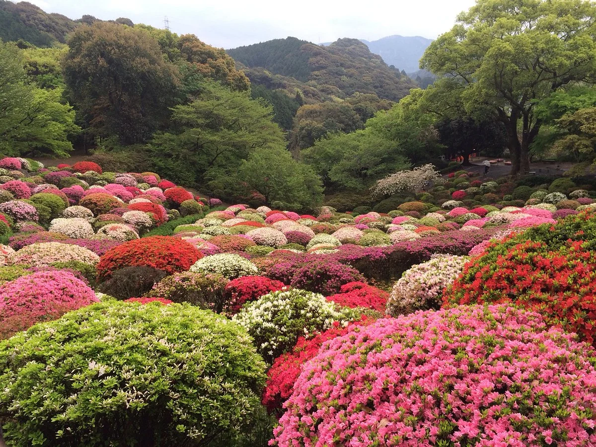 Mifuneyama Rakuen