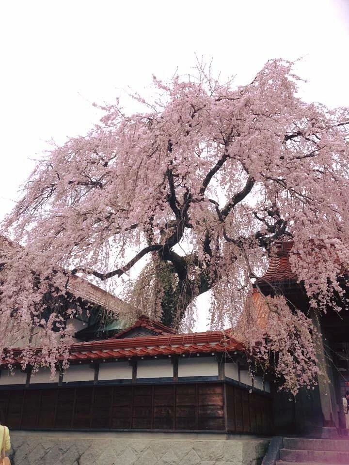 Gokurakuji Temple