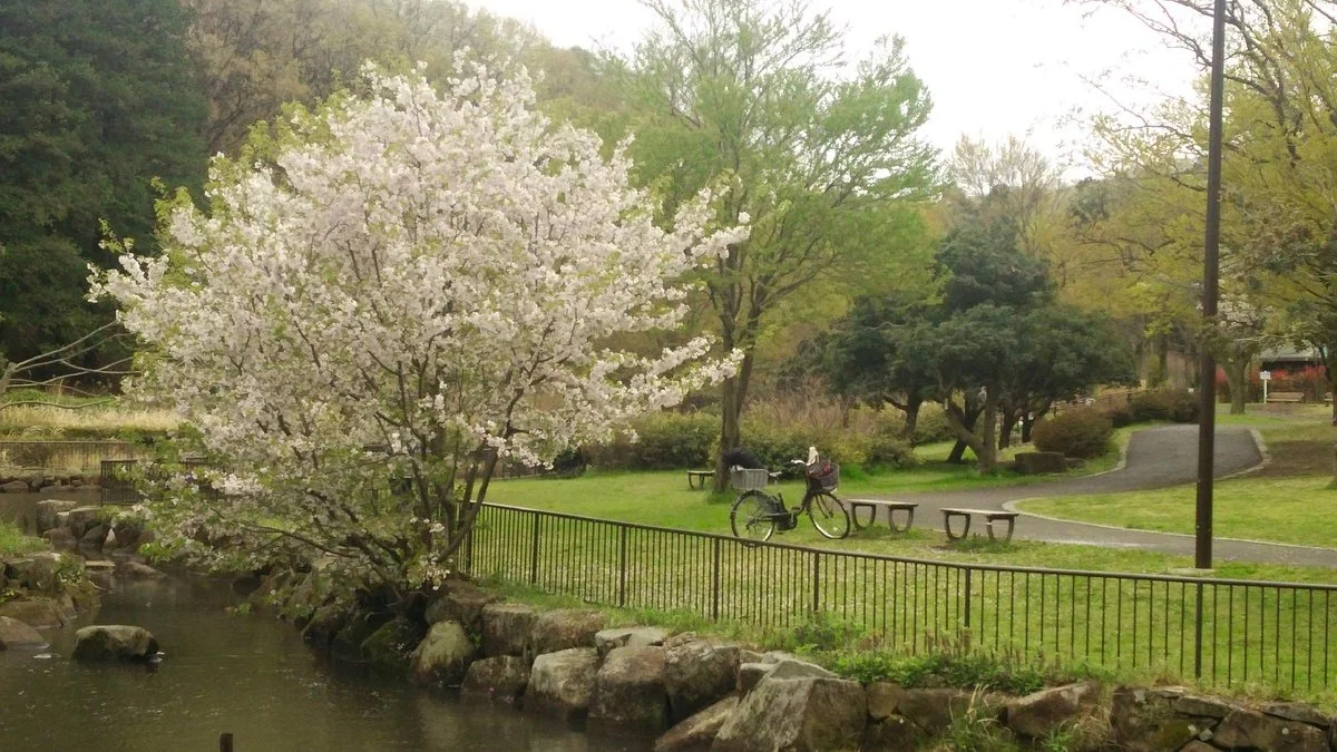 Children's Natural Park