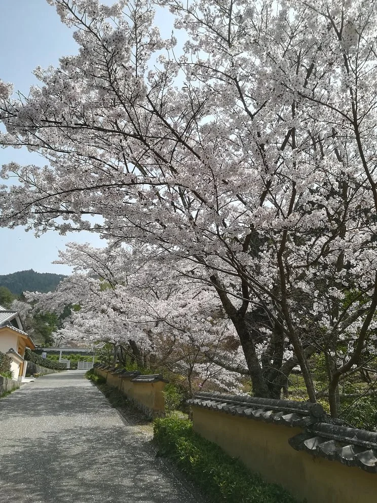Matsudaira Garden