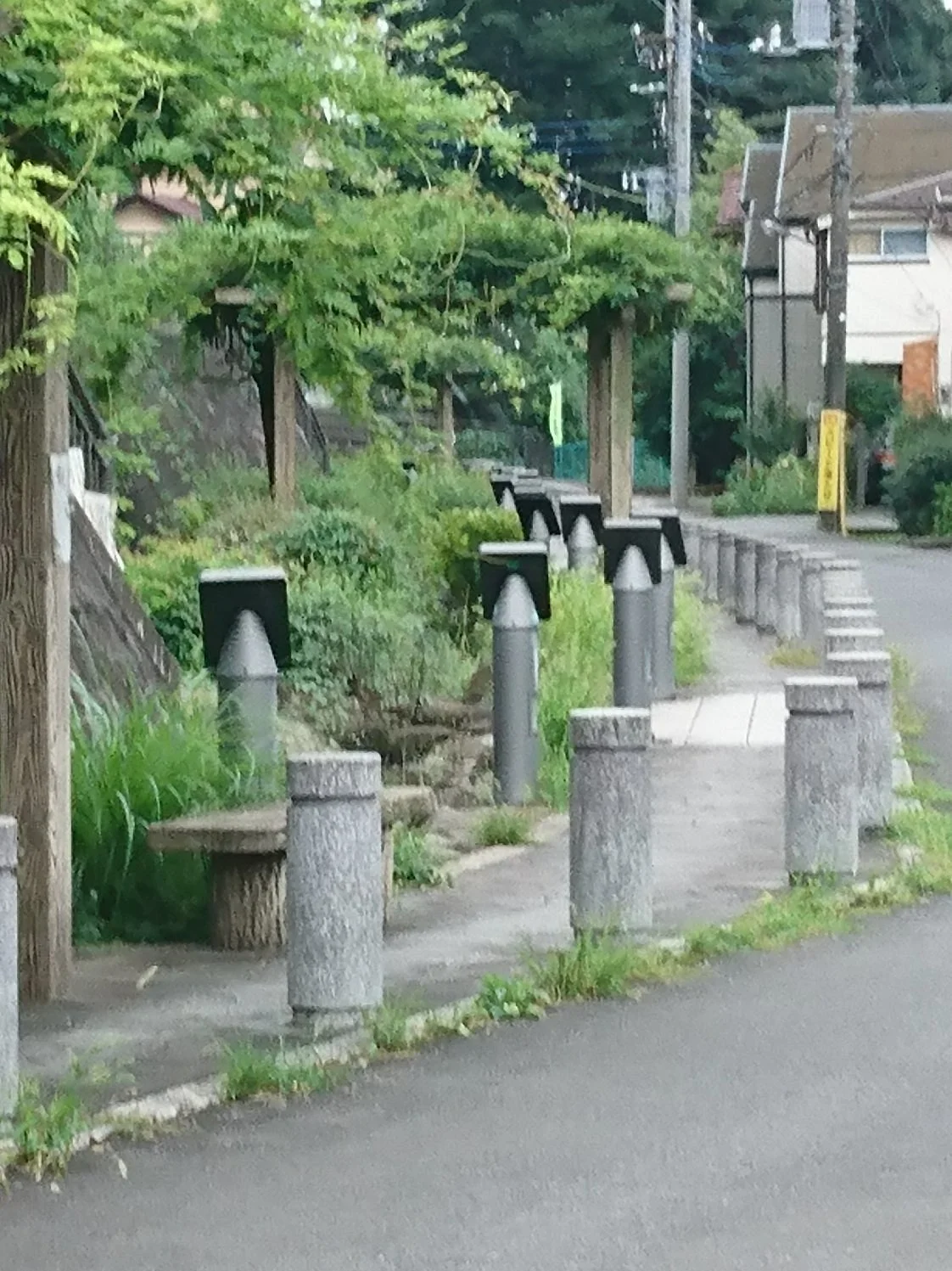 Nakayoshi Promenade
