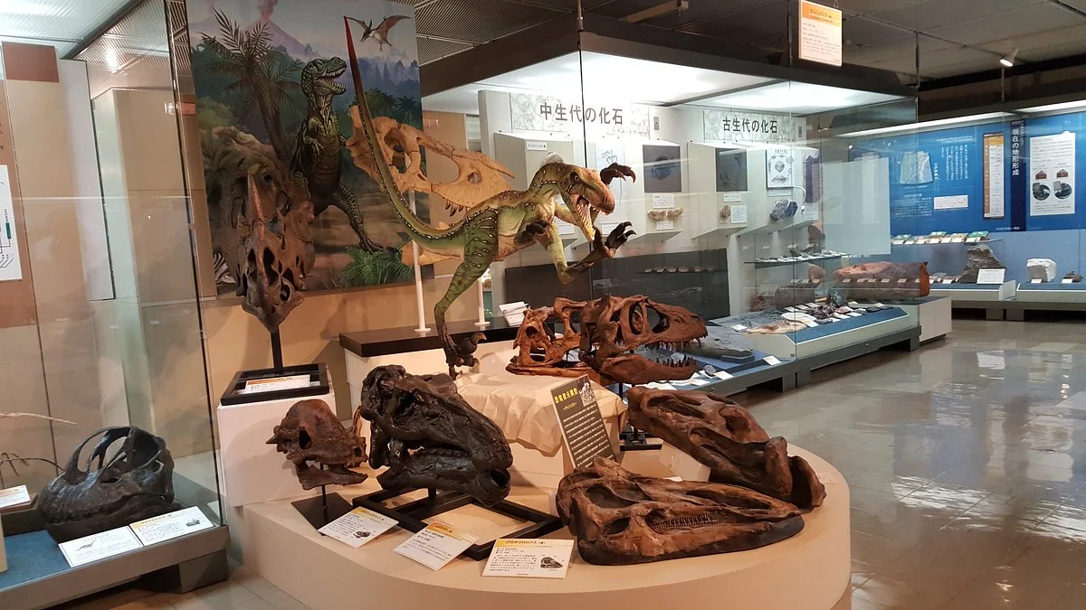 Tottori Prefectural Museum