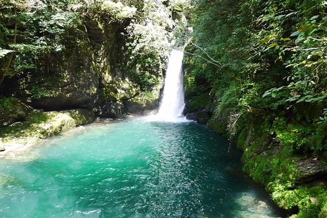 Nikobuchi