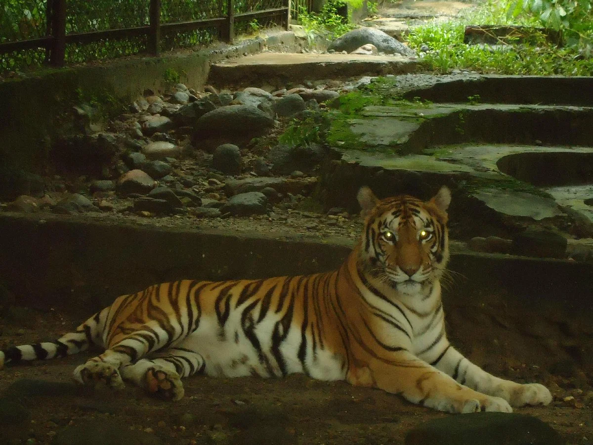 Itanagar Wildlife Sanctuary