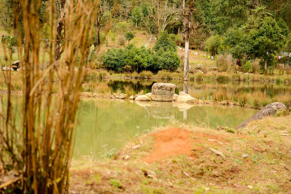 Royal Botanical Park, Lampelri