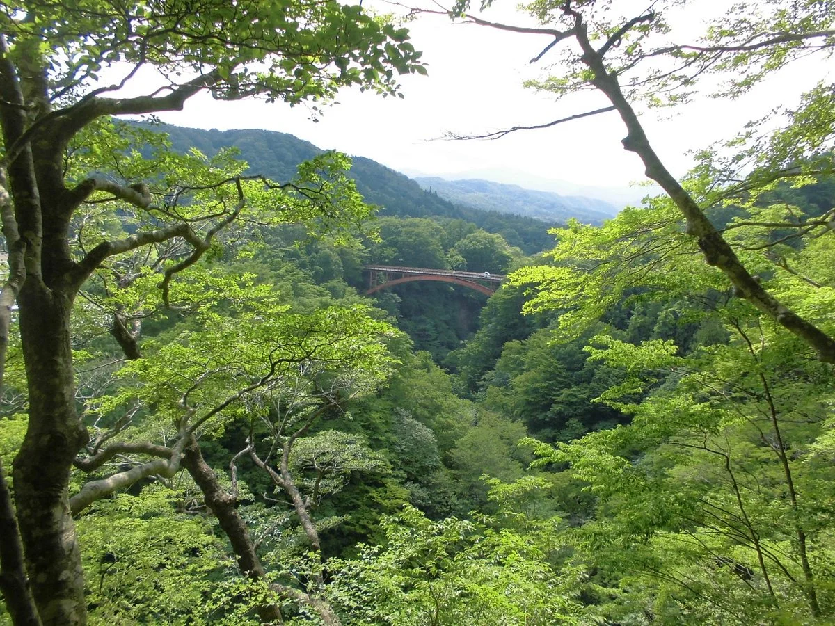 Shinkashi Promenade