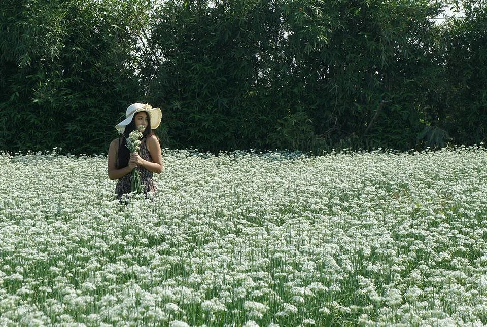 Zhong Xin Li Jiu Cai Hua Tian