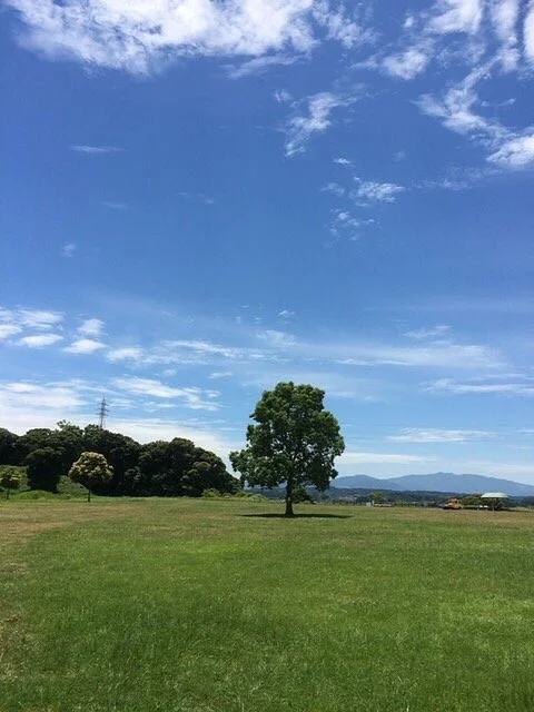 Ikimekofungun-Siseki Park