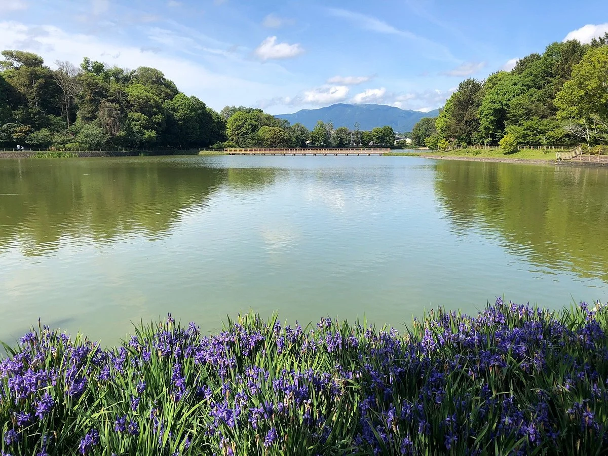 Fukada Pond