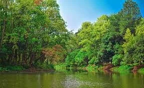 Bhawal National Park