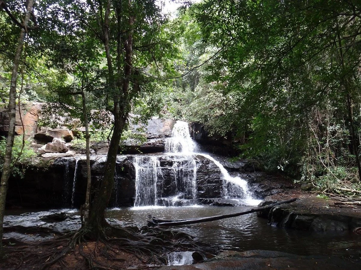 Pang Sida National Park