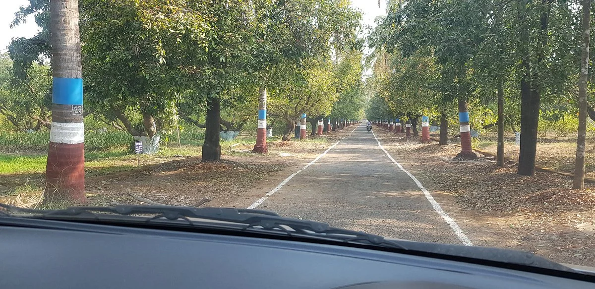 Fruit Research Center