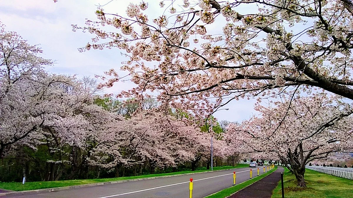Toda Memorial Park Cemetery