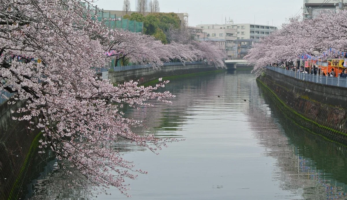 Nogeyama Park