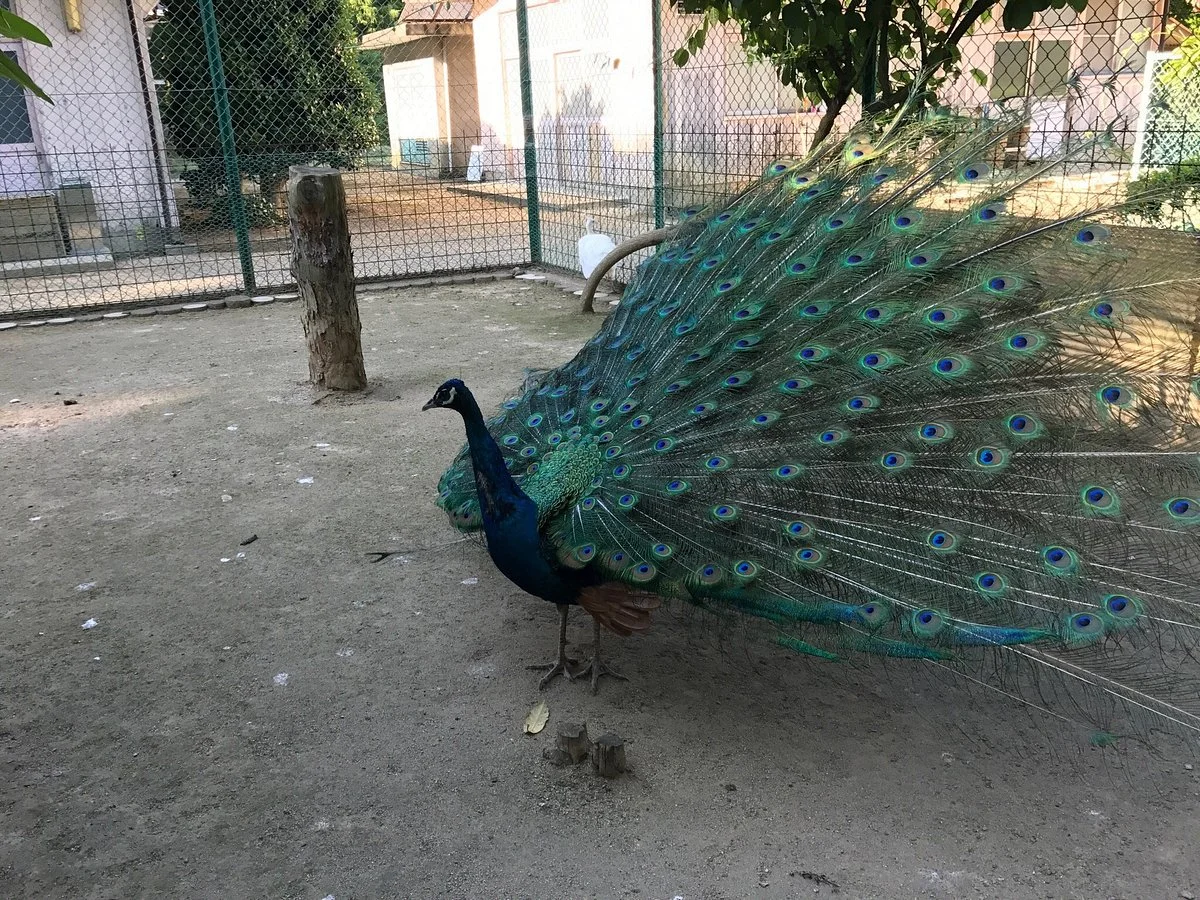 Wildlife Center