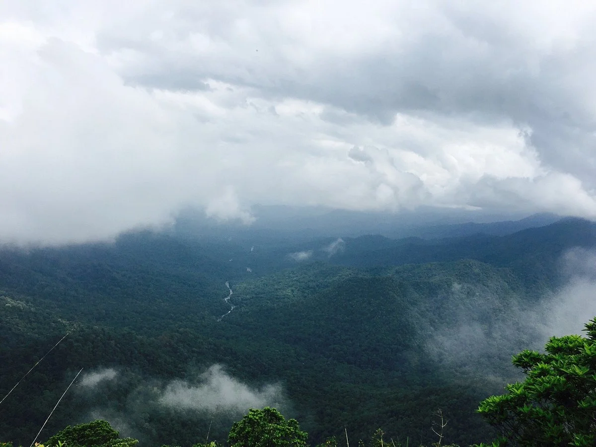 Neelimala Viewpoint