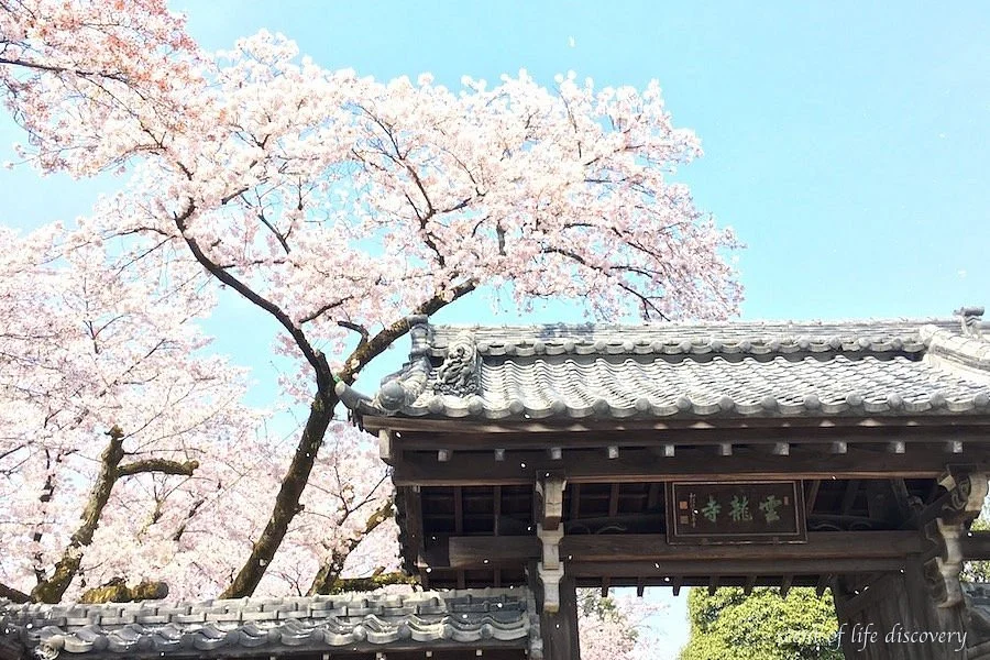Unryu-ji Temple