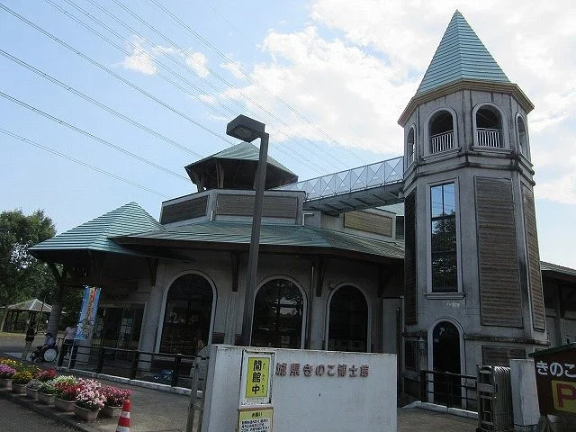 Ibaraki Mashroom Museum
