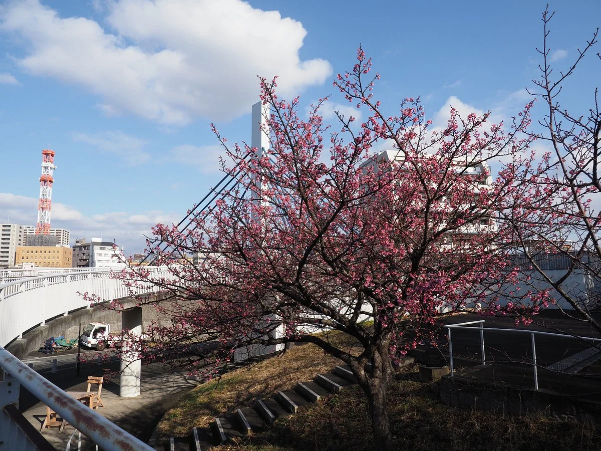 Kanuki Park