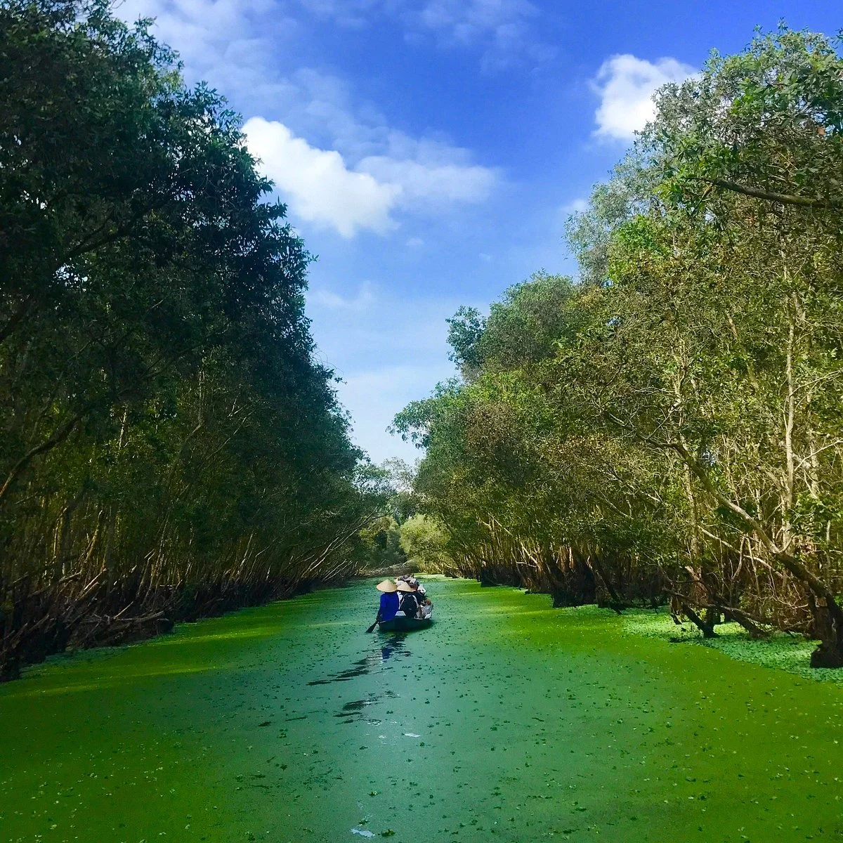 Tra Su Bird Sanctuary