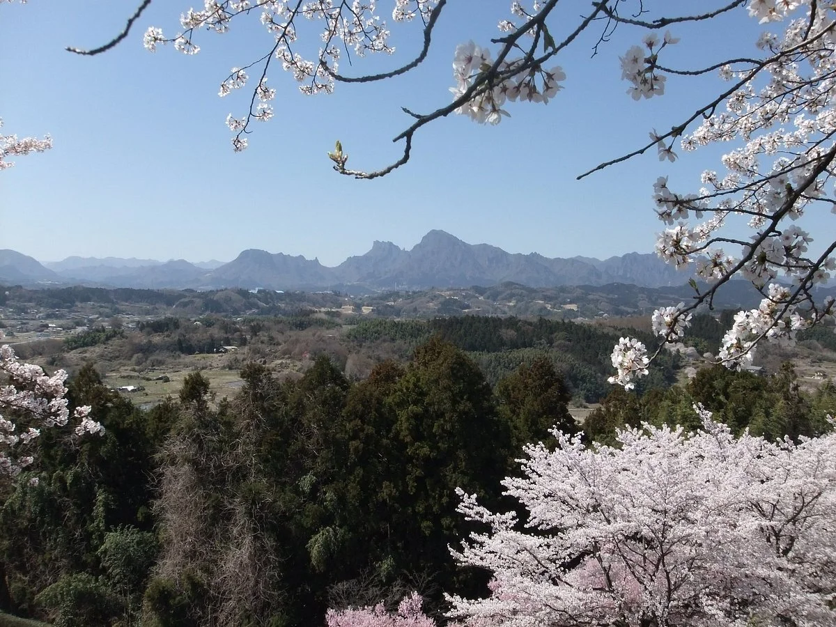 Gokan Castle