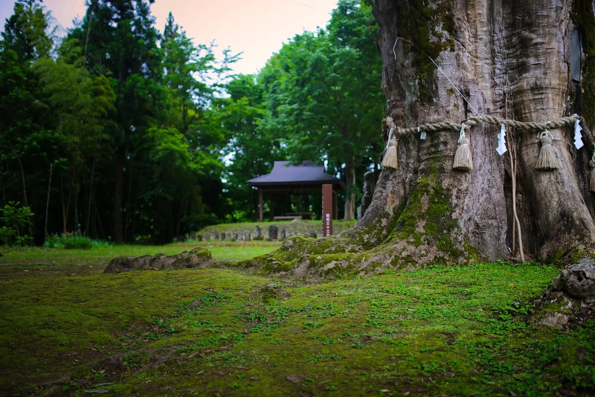 Akatani Junisha no Okeyaki