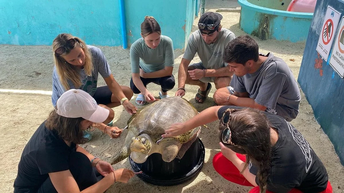 Atoll Marine Center