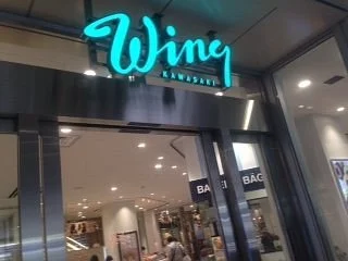 Wing Kawasaki